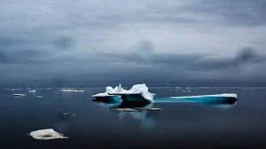 The arctic