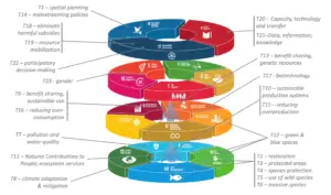 Global Biodiversity Framework