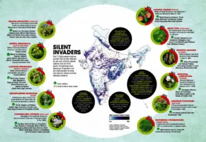 invasive alien species India