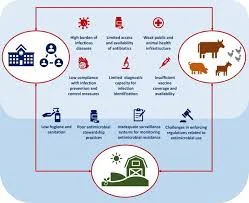 addressing antimicrobial resistance