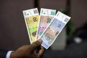 Zimbabwe’s gold-backed currency — ZiG