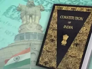 Indian constitution Article 31C