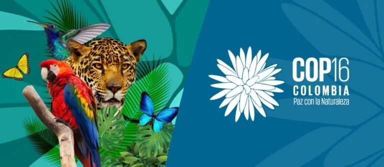 The Biodiversity COP16 refers to the 16th Conference of Parties to the Convention on Biological Diversity (CBD). It is a bi-annual global meeting where countries come together to discuss biodiversity protection, ecosystem restoration, and the sustainable use of biological resources.