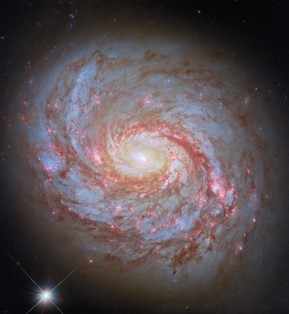 NASA/ESA Hubble Space Telescope image features the spiral galaxy Messier 77, also known as the Squid Galaxy, which sits 45 million light-years away in the constellation Cetus