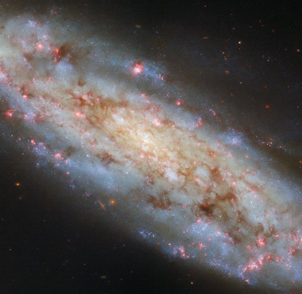 The stately and inclined spiral galaxy NGC 3511 is the subject of this NASA/ESA Hubble Space Telescope image.