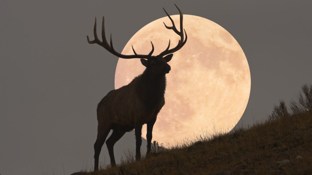 The July Buck Moon 2025 won’t just light up the sky — it will light up your imagination.
